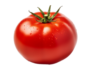 Tomates Les Classiques