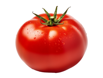 Tomates Les Classiques