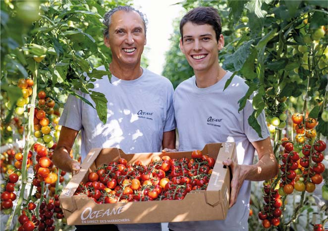 Producteurs avec des tomates