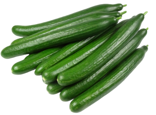 Concombre