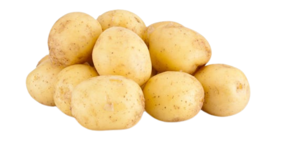 Pomme de terre primeur