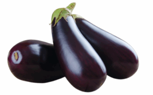 Aubergine