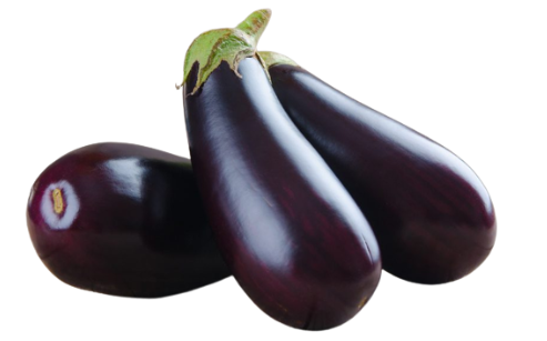 Aubergine