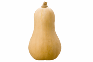 Butternut
