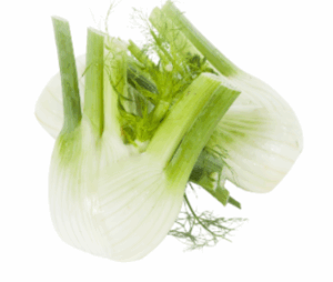 Fenouil