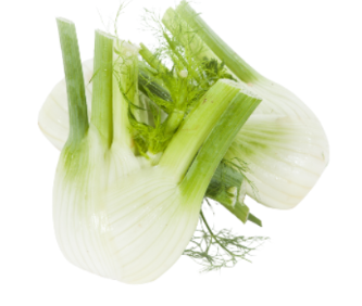 Fenouil