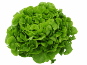 Salade