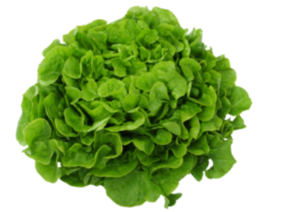 Salade