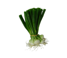Oignon blanc