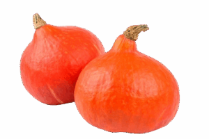 Potimarron