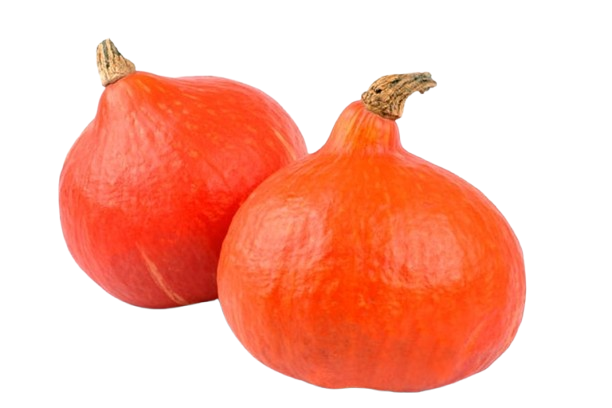 Potimarron