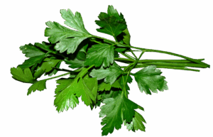 Persil plat