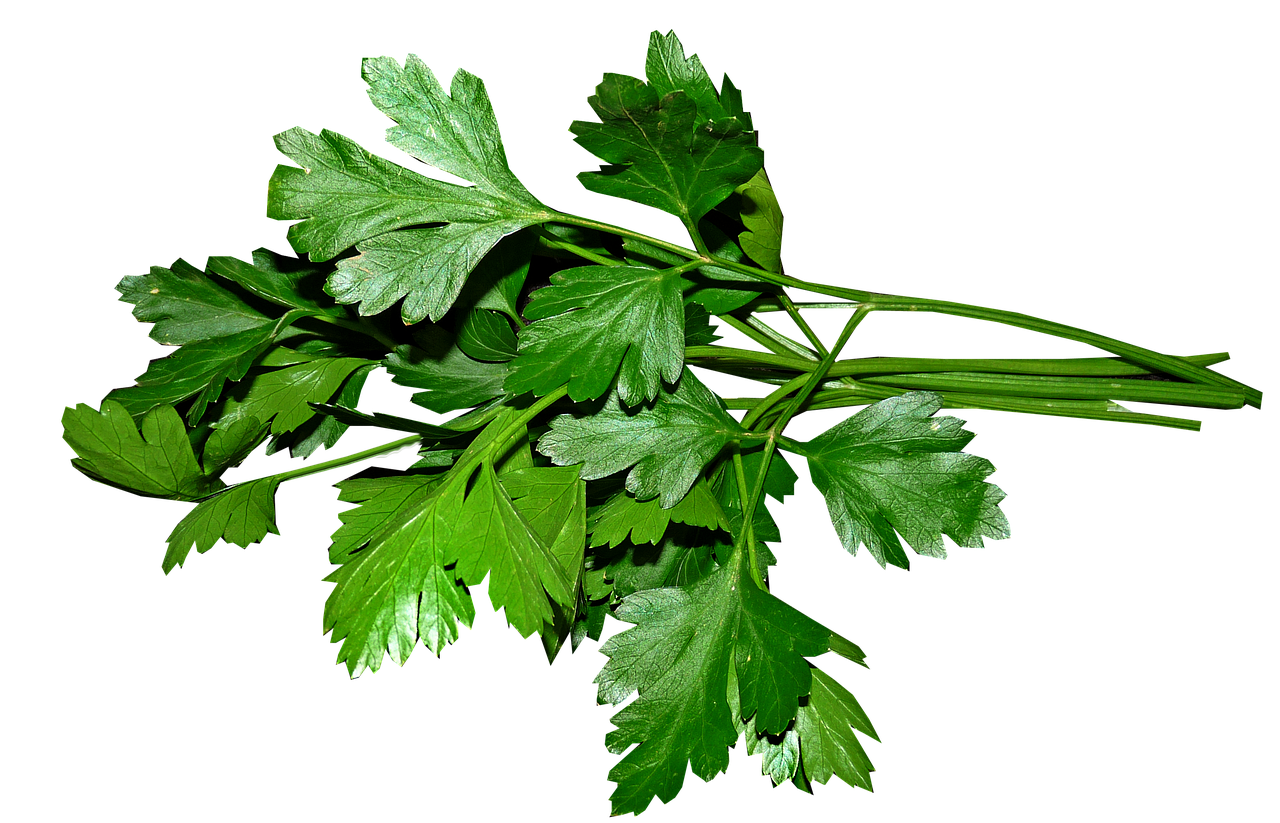 Persil plat