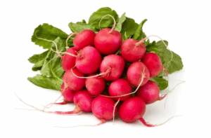 Radis rose rond