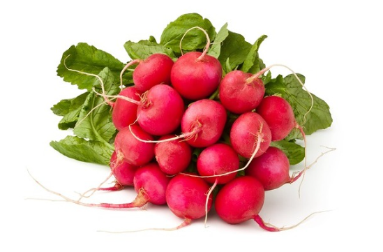 Radis rose rond