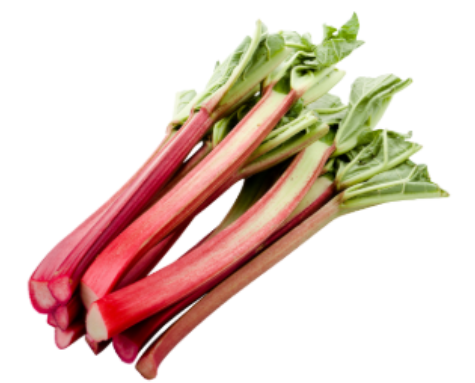 Rhubarbe