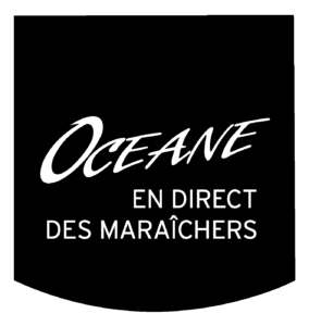 Index de l’égalité professionnelle entre les femmes et les hommes – Année 2025