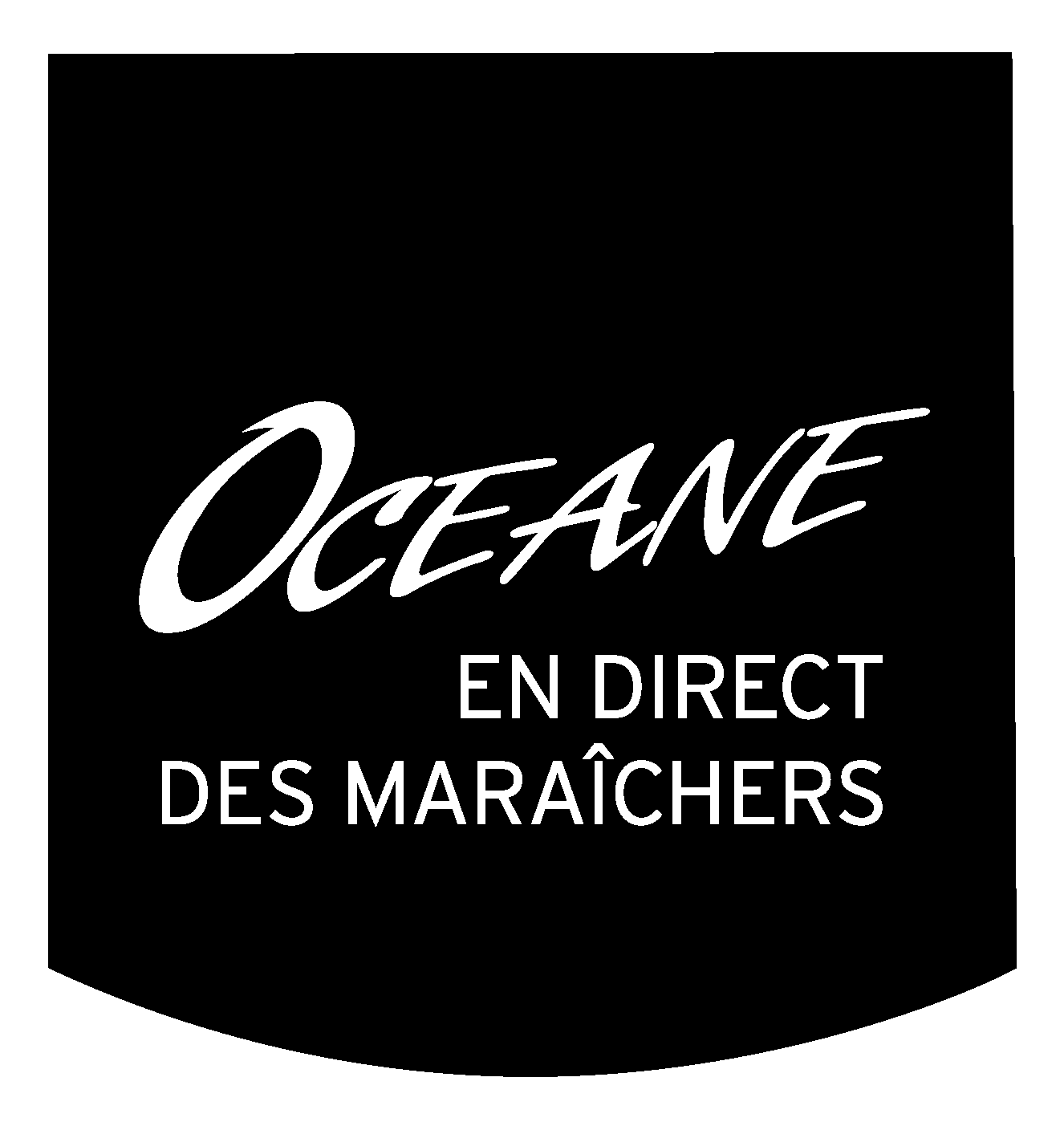 Index de l’égalité professionnelle entre les femmes et les hommes – Année 2025