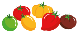 Mélange de Tomates Anciennes